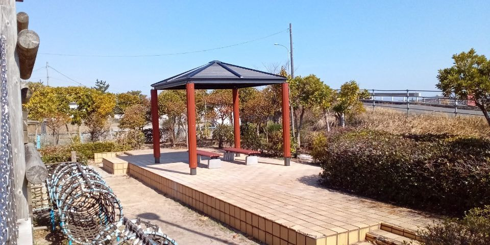 img20230707133048916837.jpg